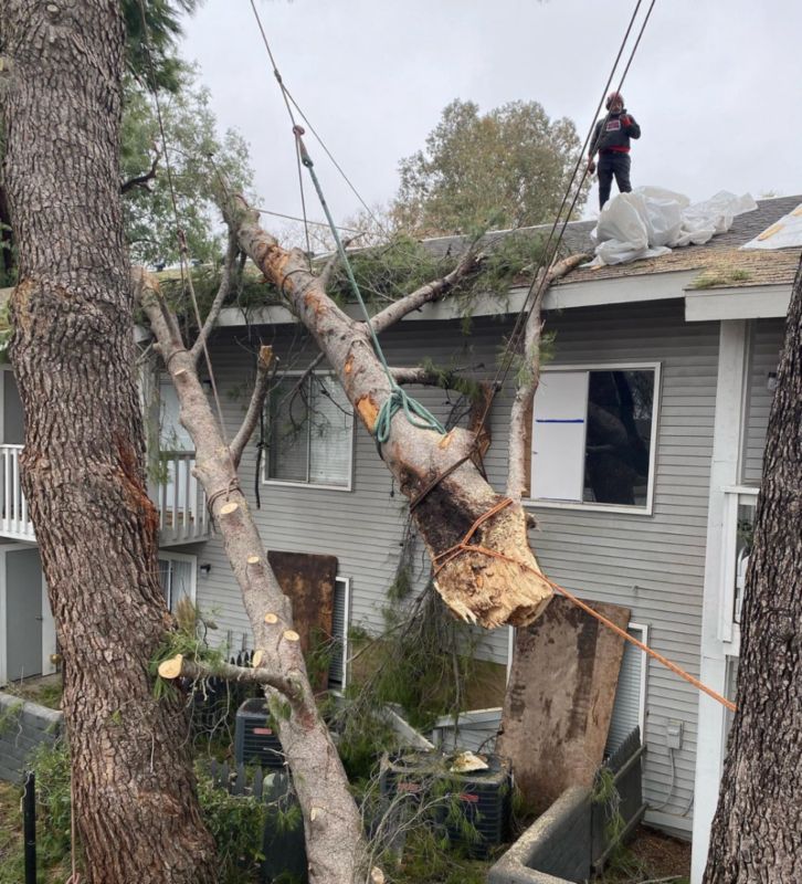 How to Save a Split Tree