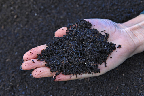 Biochar_Compost_3443R_Small