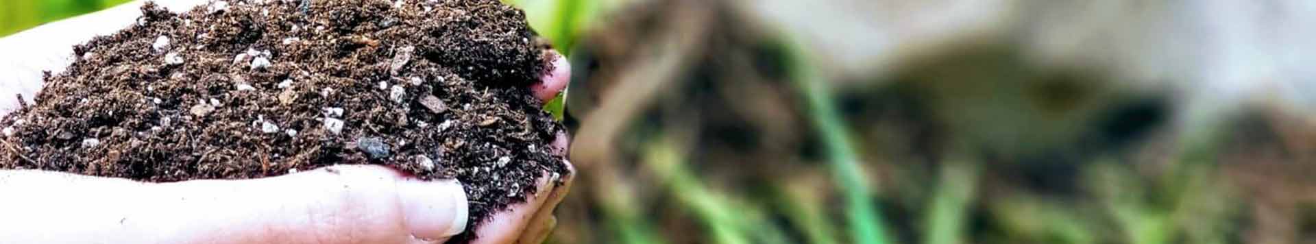 Biochar as renewable energy