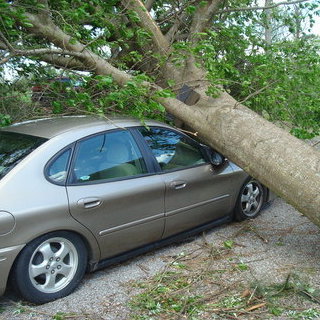 car-tree-1ff3420cd763dd35_large