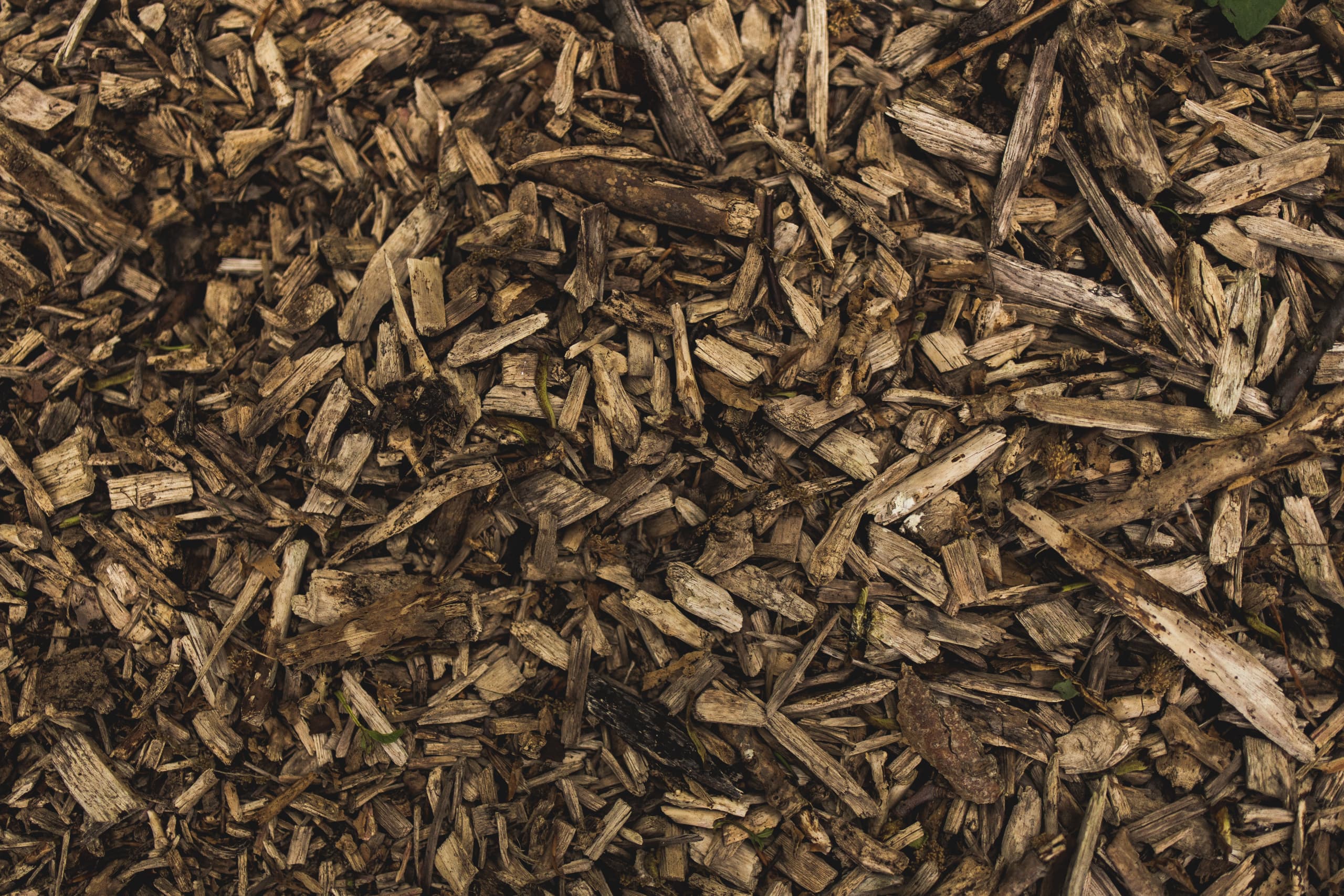 mulch