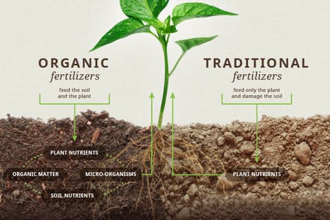 soilcomparison