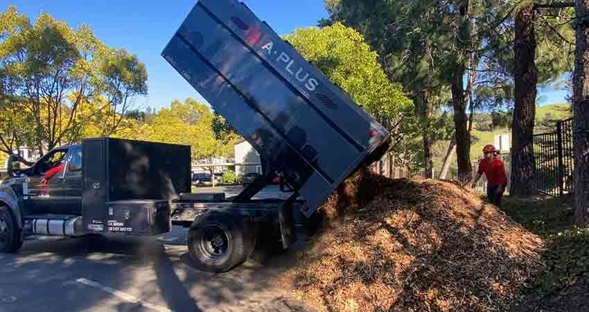 Arbor Mulch - sustainable tree care in Urban Forestry | A ...