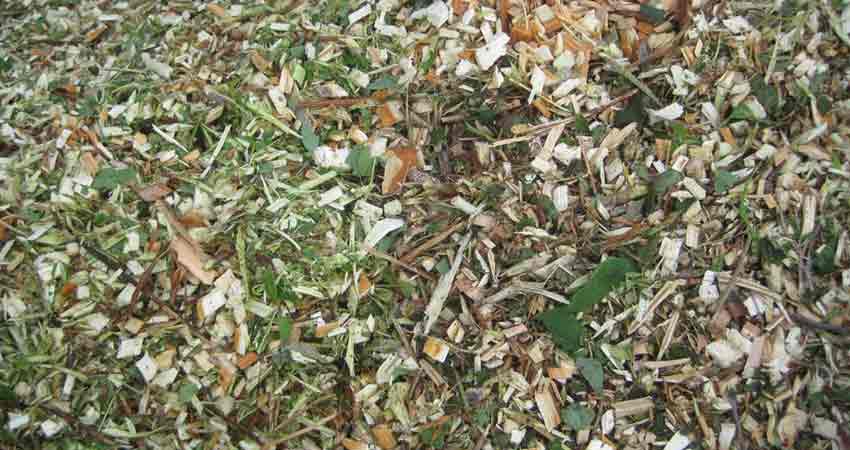 Arbor-Mulch-week1-850x450