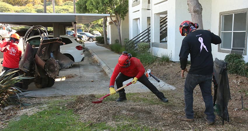 stump-grinding-clearance