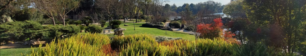 fresno-tree-service-hero2-1920×356 commercial-tree-service-fresno