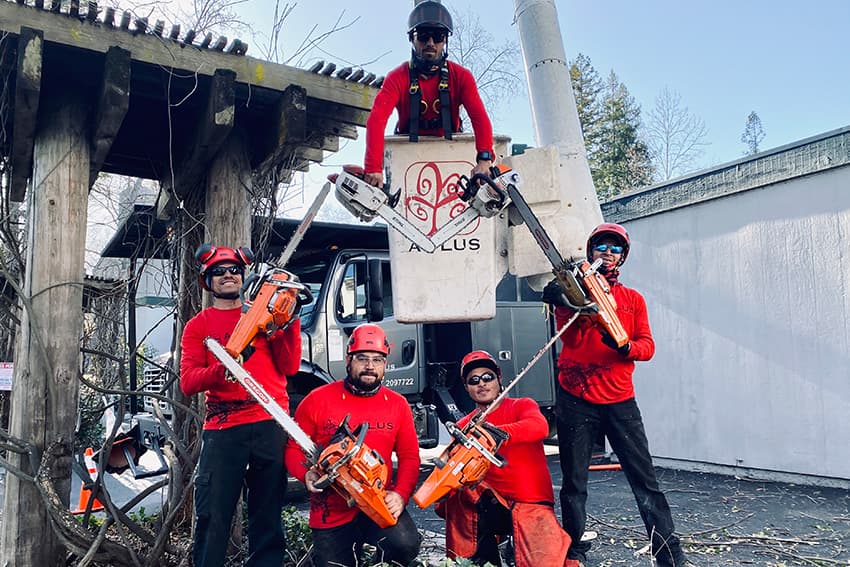 chainsaw-crew-love-850x567