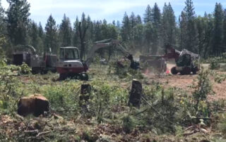vegetation-management-feature