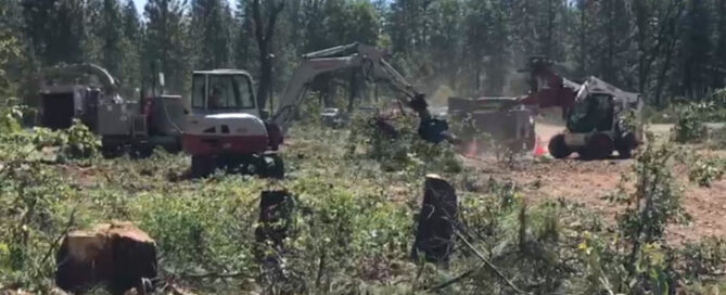 vegetation-management-feature