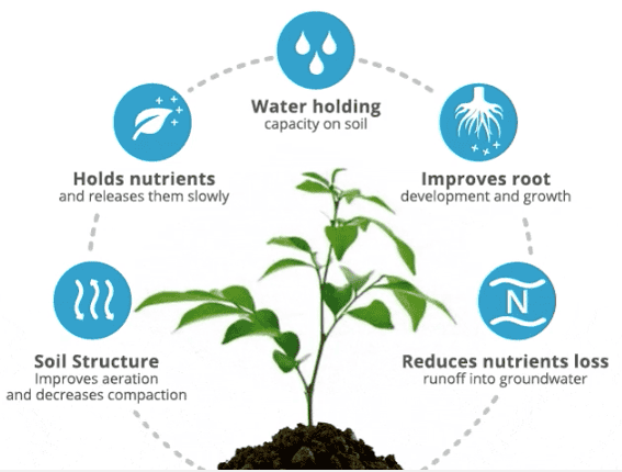 biochar-benefits