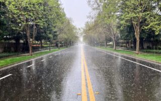 rain_trees_street
