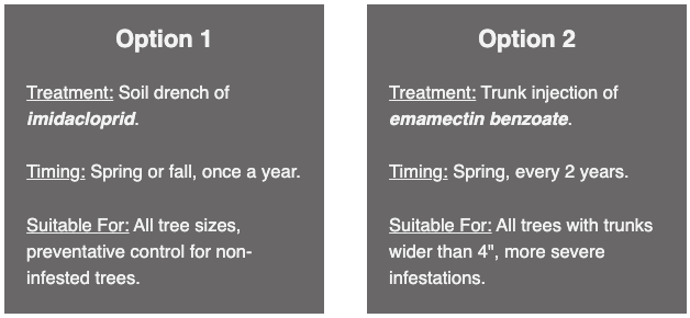 emerald_ash_borer_treatment