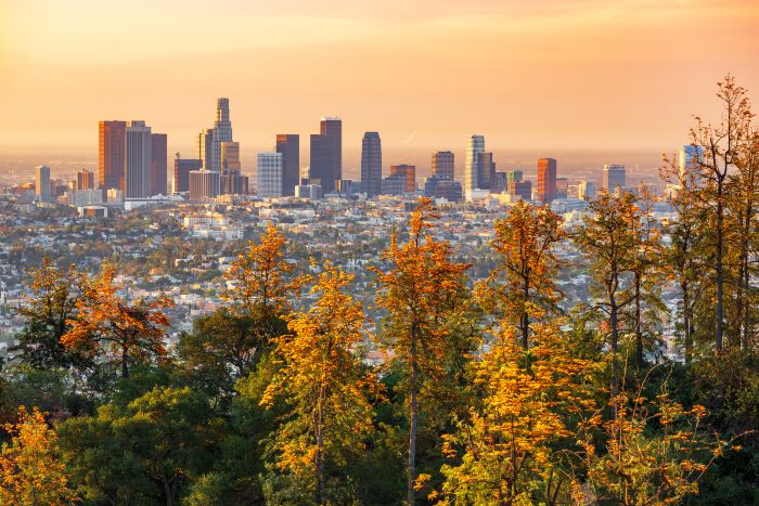 Los Angeles Tree Service