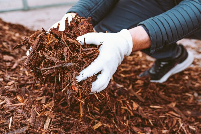 organic mulch wood chips