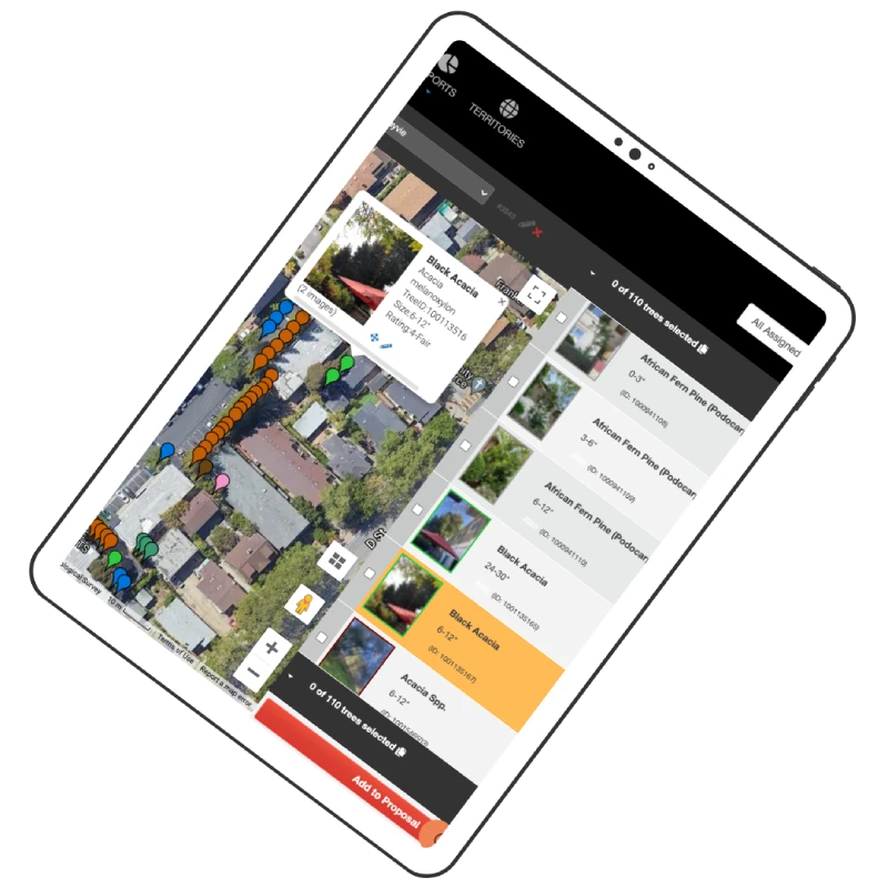 New-Ipad-Image