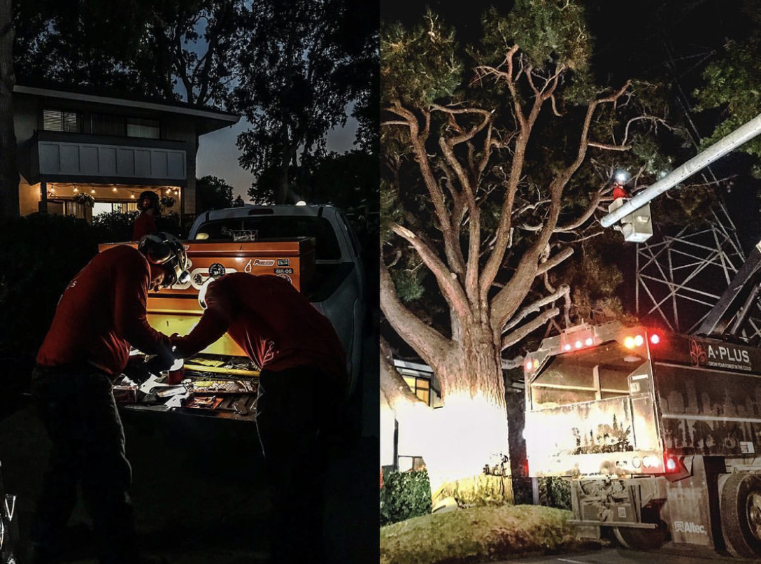 24/7 Emergency Tree Services | Fast & Reliable Help