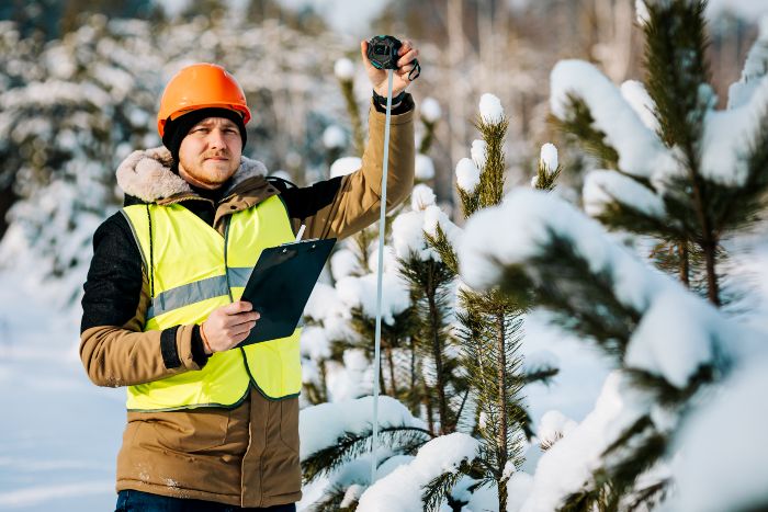 winter tree protection