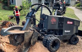 How to Level Ground After Tree Removal
