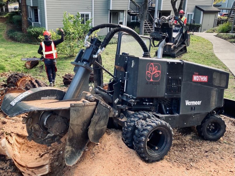 How to Level Ground After Tree Removal