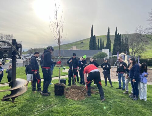 A Plus Tree’s Family Workshop: Planting Trees and Making Memories at MOTA Ranch HOA