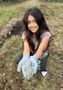 bay point_tree planting_worm