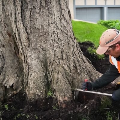 digging_2_photo_RTSA_052020