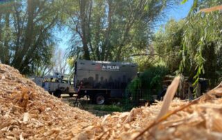 What to Do With Wood Chips From Stump Grinding