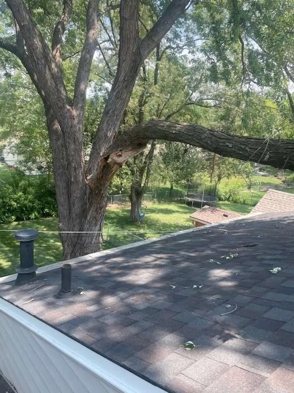 tree branch removal