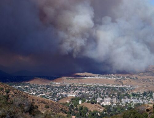 How to Protect Your Home from Wildfires: Practical Ways to Minimize the Risk