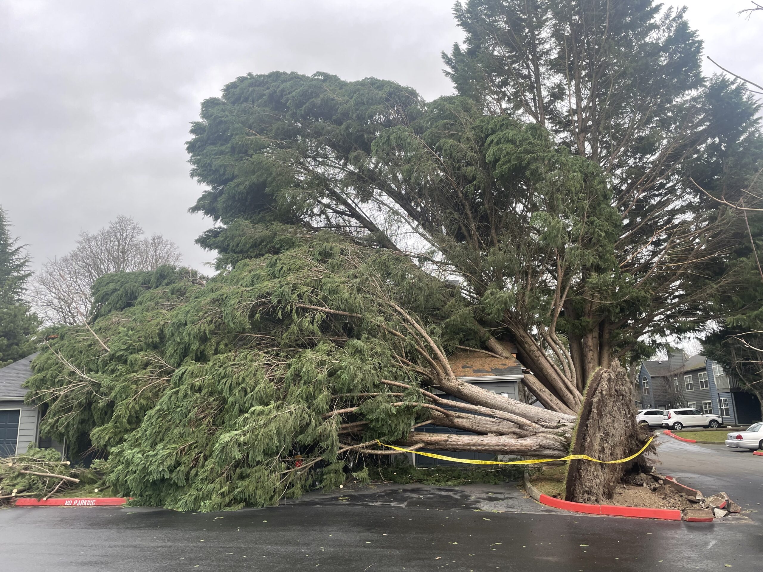 wind tree failure