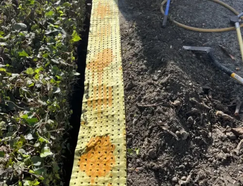 Root Barrier Installation: Protecting Your Home & Preserving Your Trees