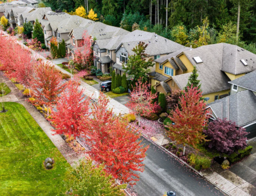 Planting Trees in Fall: The Professional Arborist’s Guide to Timing and Care